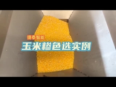 Sorting Corn kernel 1