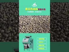 Sorting Soybean